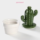 Банка для хранения сыпучих продуктов Доляна «Кактус», 160 мл, 8×8×14 см, керамическая - Фото 2