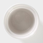 Банка керамическая для сыпучих продуктов Доляна «Кактус», 160 мл, 8×8×14 см - Фото 4