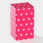 Банка для хранения сыпучих продуктов Доляна «Кактус», 160 мл, 8×8×14 см, керамическая - Фото 11