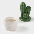 Банка для хранения сыпучих продуктов Доляна «Кактус», 170 мл, 8×8×15 см, керамическая - Фото 2