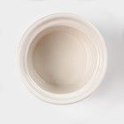 Банка для хранения сыпучих продуктов Доляна «Кактус», 170 мл, 8×8×15 см, керамическая - Фото 4