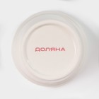 Банка для хранения сыпучих продуктов Доляна «Кактус», 170 мл, 8×8×15 см, керамическая - Фото 5