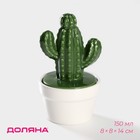 Банка для сыпучих Доляна «Кактус», 150 мл, 8×8×14 см, керамика - Фото 1
