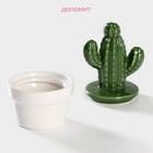 Банка для сыпучих Доляна «Кактус», 150 мл, 8×8×14 см, керамика - Фото 2