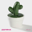 Банка для хранения сыпучих продуктов Доляна «Кактус», 170 мл, 8×8×12 см, керамическая - Фото 1