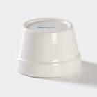 Банка для хранения сыпучих продуктов Доляна «Кактус», 170 мл, 8×8×12 см, керамическая - Фото 5