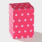 Банка для хранения сыпучих продуктов Доляна «Кактус», 170 мл, 8×8×12 см, керамическая - Фото 8