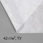 Материал укрывной, 20 × 1.6 м, плотность 42 г/м², с УФ-стабилизатором, белый, Greengo, Эконом 30% - Фото 6