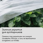 Материал укрывной, 20 × 1.6 м, плотность 42 г/м², с УФ-стабилизатором, белый, Greengo, Эконом 30% - Фото 4