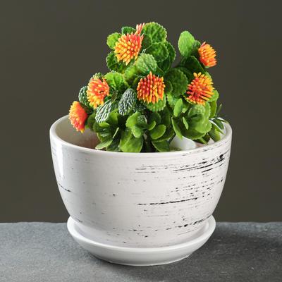 Горшок для цветов «День», 750 мл, d=14 см, h=10 см, керамика, с поддоном, белый