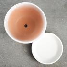 Горшок для цветов «День», 750 мл, d=14 см, h=10 см, керамика, с поддоном, белый - Фото 4