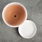 Горшок для цветов «Антик», 1.65 л, d=17 см, h=13 см, керамический, с поддоном, бежевый - Фото 3