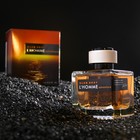 Туалетная вода мужская Alan Bray L'HOMME Adventure, 100 мл - Фото 1