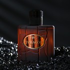 Туалетная вода мужская Best Version Tobacco, 90 мл - Фото 2