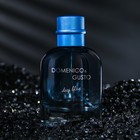 Туалетная вода мужская Domenico&Gusto Deep Blue, 100 мл - Фото 2