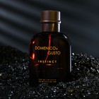 Туалетная вода мужская Domenico&Gusto Instinct, 100 мл 7085748 - фото 1664164