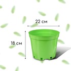 Горшок для рассады, 5 л, d = 22 см, h = 18 см, зелёный, Greengo - Фото 2