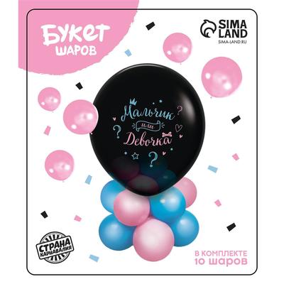 Воздушные шары, букет «Гендер-пати», набор 18 шт.