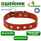 Оранжевый