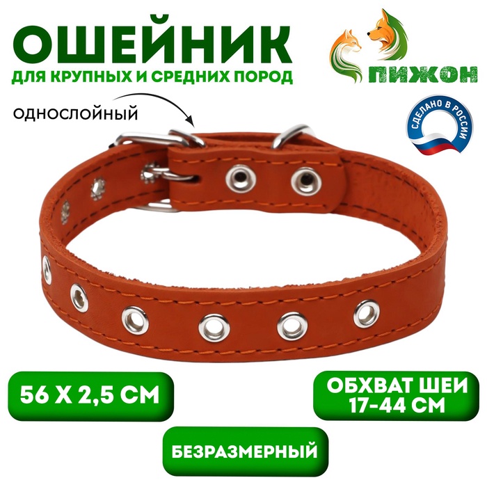 Ошейник однослойный, безразмерный, 56×2.5 см, ОШ 17-44 см, кожа, оранжевый - Фото 1