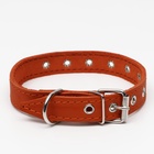 Ошейник однослойный, безразмерный, 56×2.5 см, ОШ 17-44 см, кожа, оранжевый - Фото 3