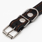 Ошейник однослойный, безразмерный, 56×2.5 см, ОШ 17-44 см, кожа, чёрный - Фото 5