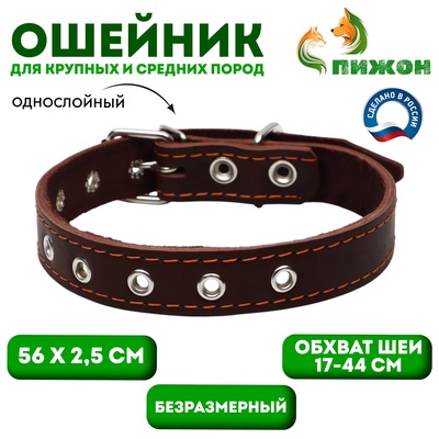 Ошейник кожаный однослойный, безразмерный, 56 х 2.5 см, ОШ 17-44 см, коричневый