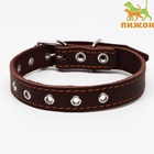 Ошейник однослойный, безразмерный, 56×2.5 см, ОШ 17-44 см, кожа, коричневый - Фото 2