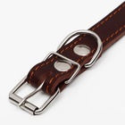 Ошейник однослойный, безразмерный, 56×2.5 см, ОШ 17-44 см, кожа, коричневый - Фото 5