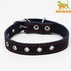 Ошейник кожаный однослойный, безразмерный, 56 х 2.5 см, ОШ 17-44 см, синий - Фото 2