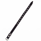 Ошейник кожаный однослойный, безразмерный, 56 х 2.5 см, ОШ 17-44 см, синий - Фото 4