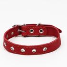 Ошейник кожаный однослойный, безразмерный, 56 х 2.5 см, ОШ 17-44 см, красный - Фото 1