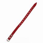 Ошейник кожаный однослойный, безразмерный, 56 х 2.5 см, ОШ 17-44 см, красный - Фото 3