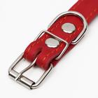 Ошейник кожаный однослойный, безразмерный, 56 х 2.5 см, ОШ 17-44 см, красный - Фото 4