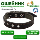 Ошейник комбинированный кожа/брезент, безразмерный, 54×2.5 см, ОШ 17-45 см, чёрный - Фото 1