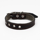 Ошейник комбинированный кожа/брезент, безразмерный, 54×2.5 см, ОШ 17-45 см, чёрный - Фото 2