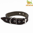 Ошейник комбинированный кожа/брезент, безразмерный, 54×2.5 см, ОШ 17-45 см, чёрный - Фото 3