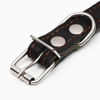 Ошейник комбинированный кожа/брезент, безразмерный, 54×2.5 см, ОШ 17-45 см, чёрный - Фото 5