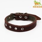 Ошейник комбинированный кожа/брезент, безразмерный, 54 х 2.5 см, ОШ 17-45 см, коричневый - Фото 2