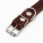 Ошейник комбинированный кожа/брезент, безразмерный, 54 х 2.5 см, ОШ 17-45 см, коричневый - Фото 5