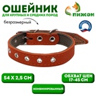 Ошейник комбинированный кожа/брезент, безразмерный, 54×2.5 см, ОШ 17-45 см, рыжий - Фото 1