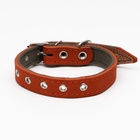 Ошейник комбинированный кожа/брезент, безразмерный, 54×2.5 см, ОШ 17-45 см, рыжий - Фото 2