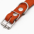 Ошейник комбинированный кожа/брезент, безразмерный, 54×2.5 см, ОШ 17-45 см, рыжий - Фото 5