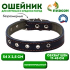 Ошейник комбинированный кожа/брезент, безразмерный, 54×2.5 см, ОШ 17-45 см, синий - Фото 1