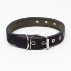 Ошейник комбинированный кожа/брезент, безразмерный, 54×2.5 см, ОШ 17-45 см, синий - Фото 3