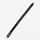 Ошейник комбинированный кожа/брезент, безразмерный, 54×2.5 см, ОШ 17-45 см, синий - Фото 4