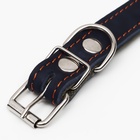 Ошейник комбинированный кожа/брезент, безразмерный, 54×2.5 см, ОШ 17-45 см, синий - Фото 5