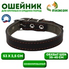 Ошейник комбинированный кожа/брезент, 53×2.5 см, ОШ 35-45 см, чёрный - Фото 1