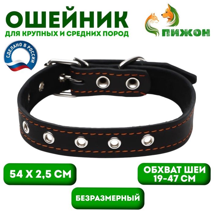 Ошейник кожаный на синтепоне, безразмерный, 54×2.5 см, ОШ 19-47 см, чёрный - Фото 1