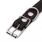 Ошейник кожаный на синтепоне, безразмерный, 54×2.5 см, ОШ 19-47 см, чёрный - Фото 5
